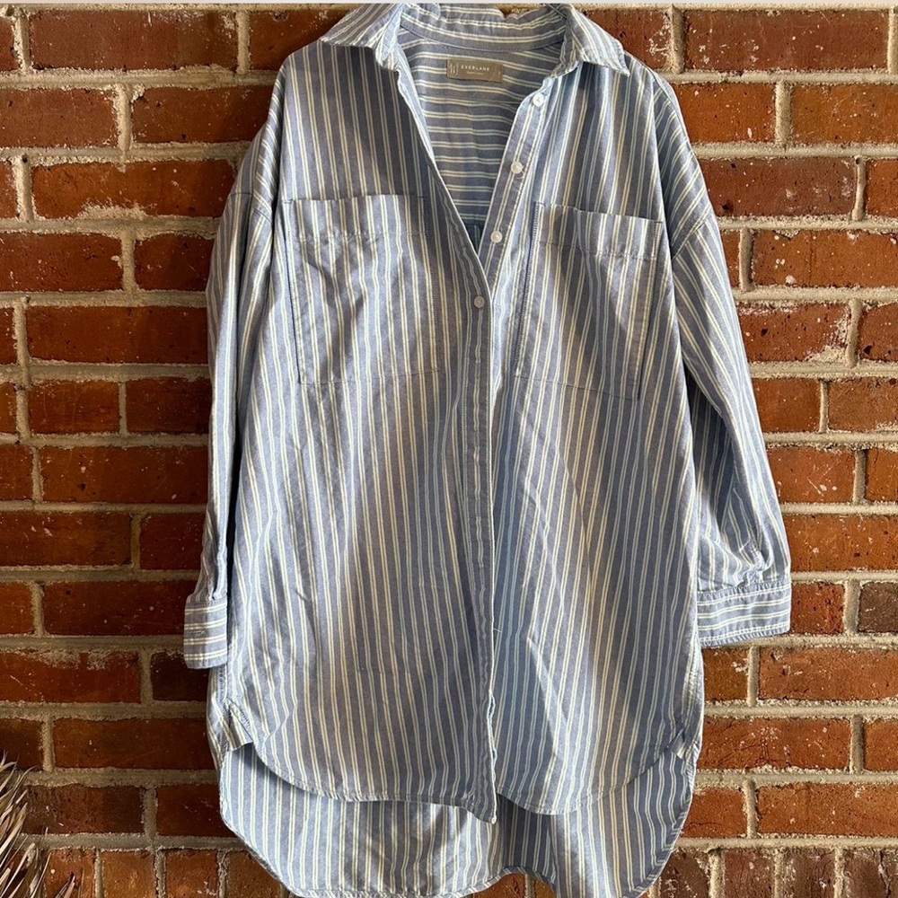 Everlane Blue and White Striped Button-Down Shirt